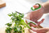 Zyliss Heavy Duty Home & Kitchen Herb Shears Scissors - White/Green, 8.5 x 4.2 x 0.4 inches with Innovative Stem