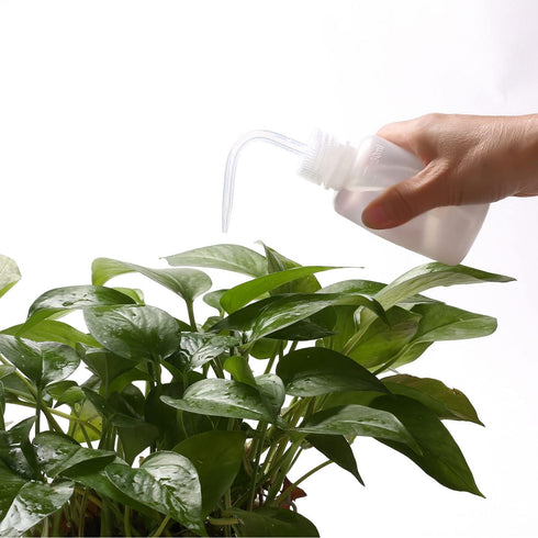 2Pcs Tattoo Wash Bottle 150ml, 5oz Water Squirt Bottle for Succulent Watering, Medical Cleaning Tools
