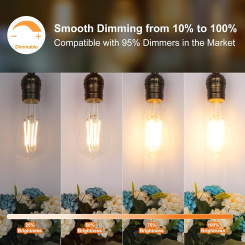 PARTPHONER LED Light Bulbs, 4 Pack, Dimmable Vintage Edison Bulb, E26 60W Equivalent, Warm White 2700K