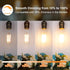 PARTPHONER LED Light Bulbs, 4 Pack, Dimmable Vintage Edison Bulb, E26 60W Equivalent, Warm White 2700K
