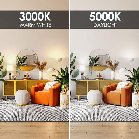 E ENERGETIC LIGHTING Dimmable LED Light Bulbs, 60W Equivalent, 5000K Daylight, 8.5W 800 Lumens, 12 Packs