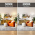 E ENERGETIC LIGHTING Dimmable LED Light Bulbs, 60W Equivalent, 5000K Daylight, 8.5W 800 Lumens, 12 Packs