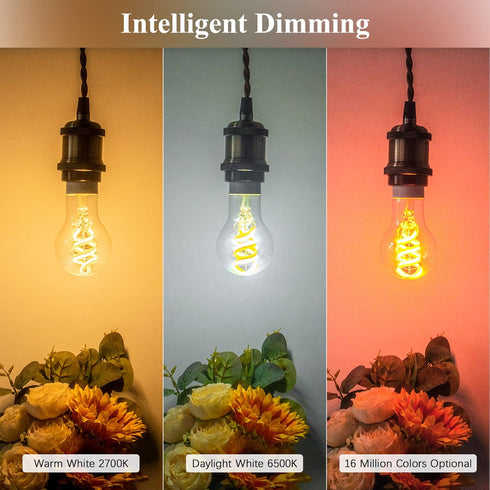 Bulb A19, Bulb, A60 Bulb Dimmable 50 450LM, 1 Pack DiCUNO Smart Edison Color Changing WiFi Smart Light Vinatge Filament