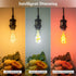 Bulb A19, Bulb, A60 Bulb Dimmable 50 450LM, 1 Pack DiCUNO Smart Edison Color Changing WiFi Smart Light Vinatge Filament
