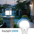 Bulb- 5 Pack, A19 Bulbs; 800 9W(60 E26 Bulb (5000K AmeriTop Dusk to Dawn Light LED Sensor Light Automatic On/Off