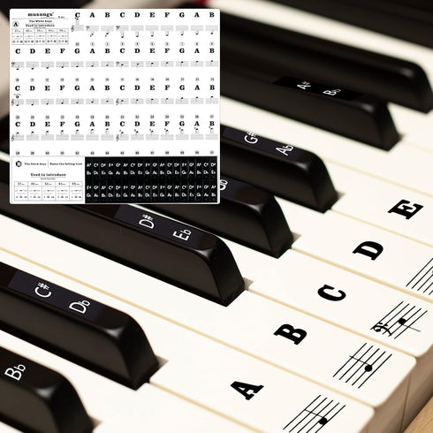 PEOVLVN 88/76/61/54/49 Piano Keyboard Stickers, Transparent Removable Piano Key Labels Stickers Notes Guide for Keys