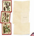 The Best Card Company Variety Pack of 10 Blank Christmas Greeting Cards with Envelopes - Humor Holiday Assortment (10