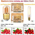 Genixgreen Low Wattage LED Light Bulb, 10W Equivalent 1W E26 Mini Dim Edison Bulb, Warm White 2200k, 80LM, Vintage
