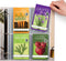Seed Storage Organizer Sleeves (50 Pack) 4 Pocket Garden Seed Organizer, Clear Sleeves for Seed Packet Storage, Seed