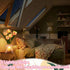 8 VIHOSE Tulip Flower Lamp Tulip Night Light with USB Rechargeable Lighting Modes Nightstand Lamp with Vase Birthday