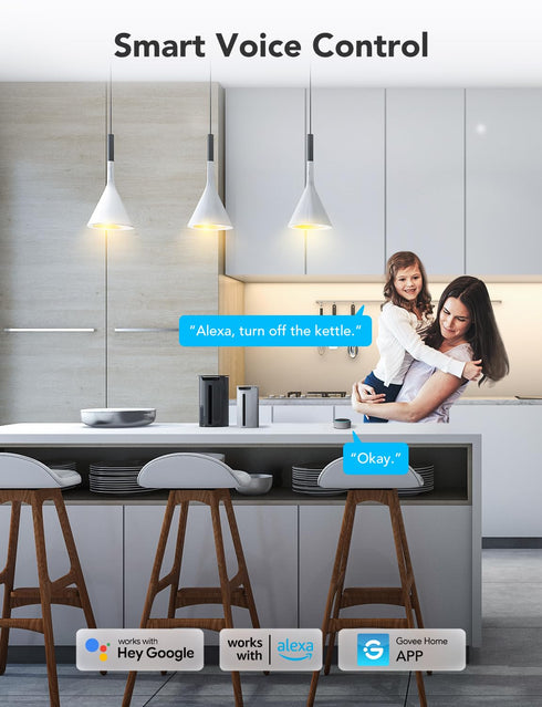 Govee Smart Plug with Energy Monitoring, WiFi Bluetooth Plug for Alexa and Google Assistant, 15A Smart Outlets