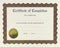 Great Papers! Ready-to-Use Certificates - 11 X 8.5, Ivory/Brown/Gold Colors, 6/Pack