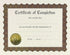 Great Papers! Ready-to-Use Certificates - 11 X 8.5, Ivory/Brown/Gold Colors, 6/Pack