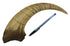 Life-Size Megaraptor Claw Replica: Extra Large Dinosaur Fossil Model
