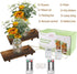 Set OurWarm Sunflower Wall Sconces of Two, Mason Jar Sconces Farmhouse Wall Decor Comes with Remote Control and Warm