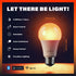 A19 Bulb, 800LM (60W Bulb (2pk) Caveman Matter & WiFi Smart LED Light RGBW Color Changing, Tunable Warm & Cool White