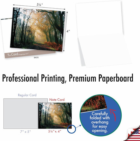 The Best Card Company - 20 Blank Landscape Nature Note Cards (4 x 5.12 Inch) - 10 Designs, 2 Each - Shining Through