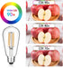 Gozelux Bulbs, 6W, 60W, Dimmable, 2700K, ST58 Bulbs 90+ E26 8 Count (Pack 1) Vintage LED Edison Equivalent Warm White