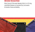 School Smart Mesh Zippered Binder Pockets, 10 x 7-1/2 Inches, Assorted Colors, 12 Pack