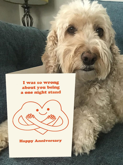 Brainbox Candy - Funny Anniversary Card - 'One Night Stand' - Cute Cards For Husband Wife Boyfriend Girlfriend Partner
