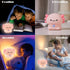 DEALFUN Axolotl Cute Cartoon Nursery Night Lights, Animal Design Safe Silicone Soft LED Nursery Lamp for Toddler Room