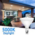 Par38 LED Flood Lights Outdoor Bulb 2 Pack, Dimmable 5000K Daylight 1800LM, 20W Replace up to 200W, Outdoor Flood Light