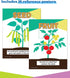 K-2 (191 In A Flash Plants Science Instructional ResourcesFlash Drive With Lessons, Labs, Observation Journal