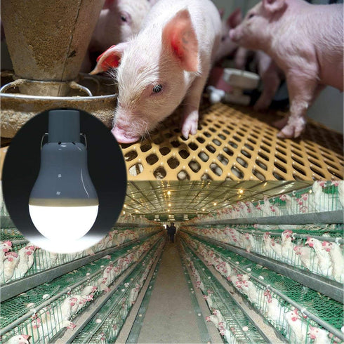 Solar Powered Lamp Portable LED Bulb Lights, Solar Energy Panel LED Lighting for Camp Tent, Night Fishing, Emergency