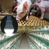Solar Powered Lamp Portable LED Bulb Lights, Solar Energy Panel LED Lighting for Camp Tent, Night Fishing, Emergency