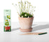 Sprout Wood-Cased Pencils | Spread the Love Edition | HB Pre-Sharpened Graphite Plantable Wooden Pencils with flower, Herb & Vegetable Seeds | Gift with Heart-Warming Quotes | 8 Pack by Sprout