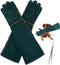 1 Pair Animal Handling Gloves, Bite Proof Leather Welding Gloves, 24.4in Reinforced with 2 Tweezers for Dog Training