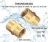 Brass Coupling 1/4" NPT Female x 1/4" NPT Female Hex Head Pipe Fitting (Pack of 2) - Air Hose Adapter
