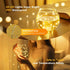 10 Pack 20 6.6 PChero Wine Bottle Lights with Cork & Remote Timer, LED ft Fairy String Lights Battery Operated for DIY