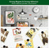 Magnetic Board Frameless Stainless Iron Strips, Magnetic Strips with Adhesive Backing, Memo Board with 10 Pcs Black