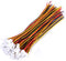 2 Pin 3 Pin Micro Electrical Connector Plug, 20 Sets AWG JST 1.25MM with Terminal Adapter Cable