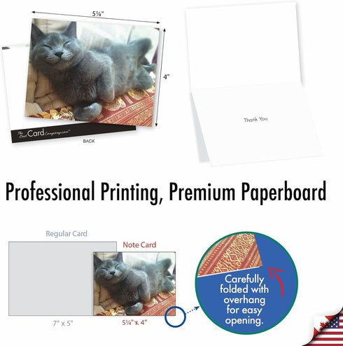 The Best Card Company 10 Assorted Thank You Notes Bulk Box Set with Envelopes (10 Designs, 1 Each) Smitten Kittens