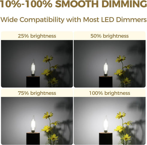 E12 Bulbs 60 90+ E12 Bulb Dimmable Bulbs, 6W 550LM 5000K CA11, Listed,1 Pack Hizashi Candelabra watt Equivalent, CRI
