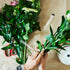 EXCEART 50Pcs 4.33In Flower Stem Water Tubes with Lids | Floral Arrangement Supplies for Fresh Roses | Plastic Vials