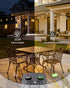 Dimmable 50FT 18+1 ST38 Bulbs Outdoor String Lights Waterproof with Remote, Shatterproof Edison LED Hanging Outside