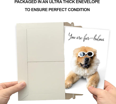 Prime Greetings Funny Dog Birthday Card Pun with Sunglasses, Eco-Friendly, Thick Card Stock with Premium Envelope, 5in