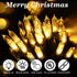 Filltown 25FT 100 Count Warm White Christmas Lights Outdoor, Incandescent Mini Christmas Lights Black Wire, Waterproof