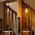 56 4 (2) Battery Operated Hanging Outdoor Chandelier, Battery Power Pendant Light, Gazebo Lights Outdoor, AA Batteries