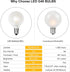 G40 Led Frosted White Replacement Light Bulbs, E12 Candelabra Globe Bulbs, 1.5 Inch Frosted String Lights, 25 Pack
