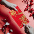 LIOOBO Chinese Red Envelopes: Lunar New Year Money Envelopes, 2024 Chinese New Year Spring Festival Supplies (L-001,