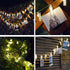 50LED 8 Dimmable 17FT Decute Photo Clips String Lights Holder Timer Function Modes with Remote, Fairy Starry Lights