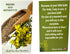Pack Pack 15 Westmon Works Mustard Seed Holy Card Bulk Bundle Faith Can Move Mountains Prayer from Matthew