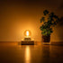 Amber Light Bulbs 40 Watt Equivalent, 6 Pack, Warm White 2700K, E26 LED G16.5 Globe Dimmable Decorative Edison