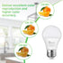 A19 LED Light Bulb, 75W Equivalent, 11W 2700K Warm White, Non-Dimmable, 6-Pack