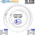 Celiwace FC8T9/CW 22W FC12T9/CW 32W Set, 8 inch T9 22 Bulbs, 12 inch 32 Bulb Bulb 80, G10q and Cool White Watts