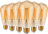 EDISHINE 6 Pack Vintage LED Edison Bulbs, 8W Equivalent 60W, ST64 Dimmable LED Light Bulbs, 700LM 2200K Amber Warm